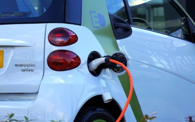 Reducing Your Business’ Carbon Footprint